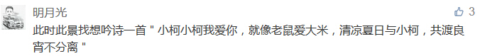 此時(shí)此景找想吟詩一首＂小柯小柯我愛你，就像老鼠愛大米，清涼夏日與小柯，共渡良宵不分離＂-科頤辦公分享